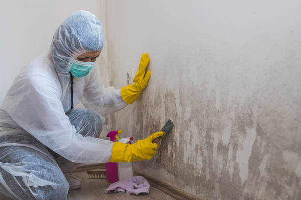 Crawl Space Mold Removal in Forsyth, MT