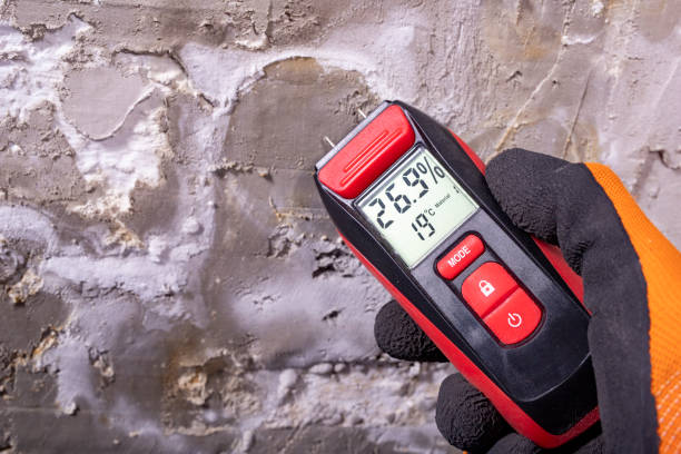 Professional Mold Removal in Forsyth, MT