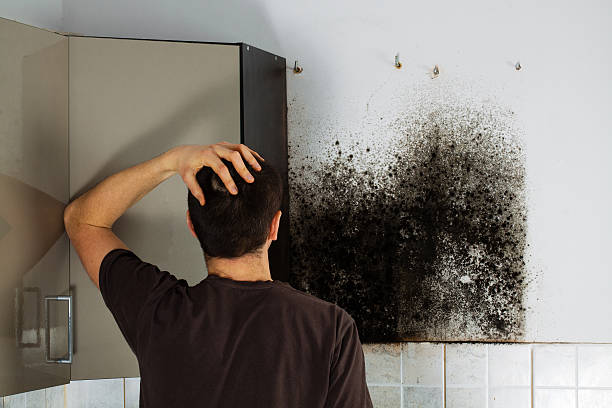 Best Attic Mold Removal  in Forsyth, MT